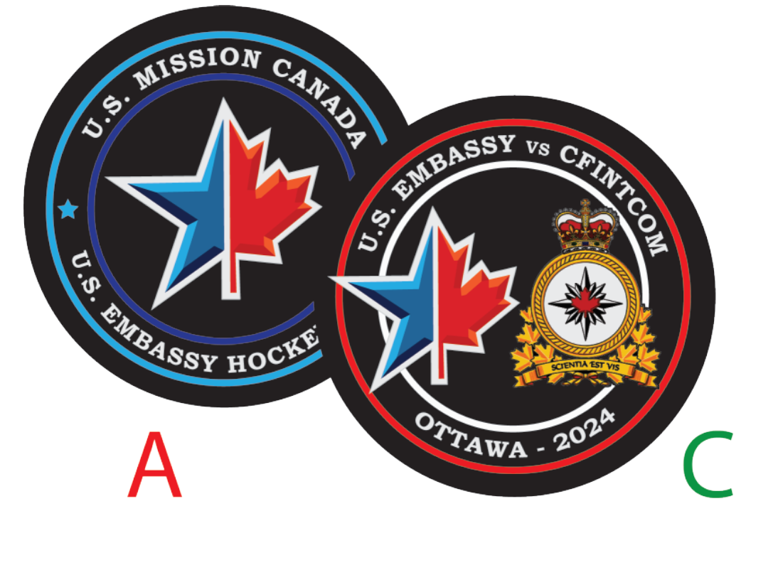 USA / CFINTCOM GAME PUCK PROGRAM