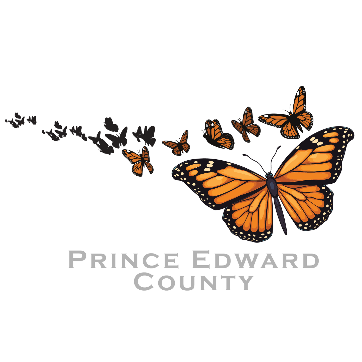 Ladies Monarch - Prince Edward County T Shirt