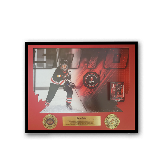 Framed Player Parting Gift
