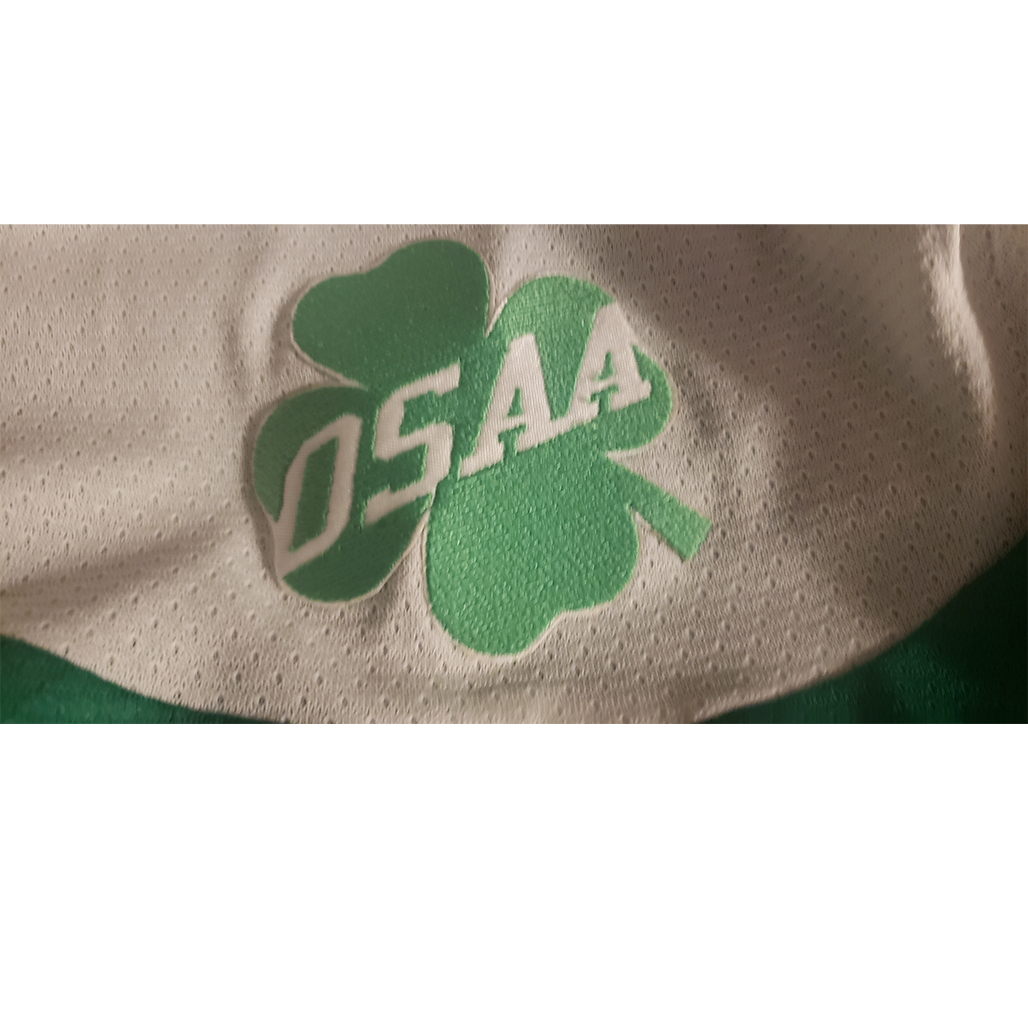 Lame Duck St Patricks Day Jersey