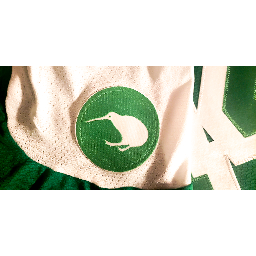 Lame Duck St Patricks Day Jersey