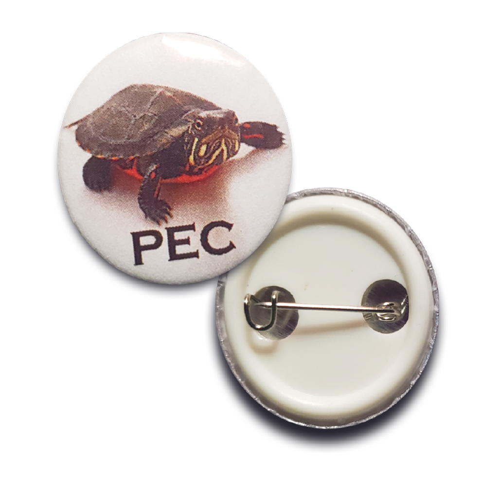 1 inch ROUND BUTTON PINS