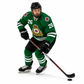 CAF GREEN & WHITE HOCKEY JERSEY