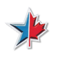 TEAM USA Embroiderd Leaf/Star Logo Patch